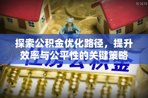 沙依巴克探索公积金优化路径，提升效率与公平性的关键策略
