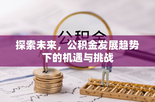 沙依巴克探索未来，公积金发展趋势下的机遇与挑战