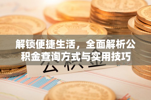 沙依巴克解锁便捷生活，全面解析公积金查询方式与实用技巧