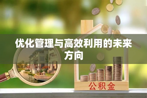 沙依巴克优化管理与高效利用的未来方向