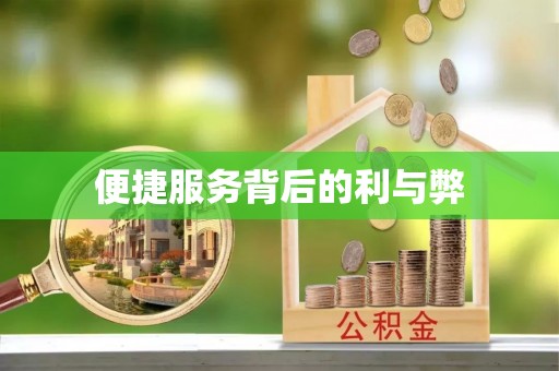 沙依巴克便捷服务背后的利与弊