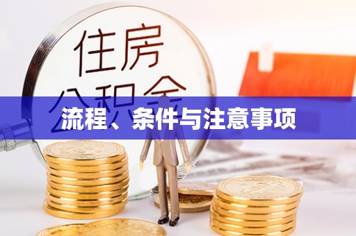 沙依巴克流程、条件与注意事项
